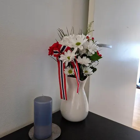 Tomannsbolig Ved Dyreparken I